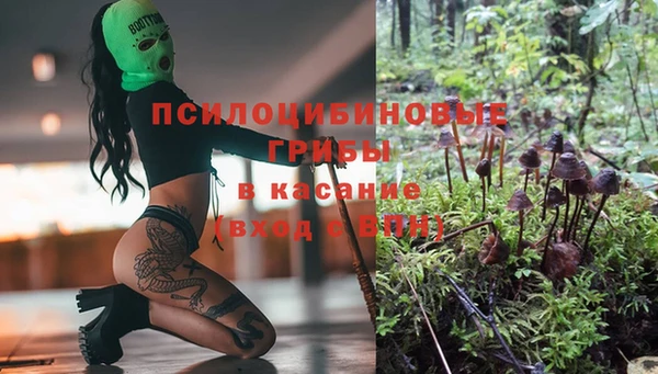 индика Нея