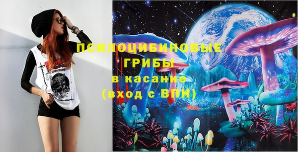 стафф Билибино