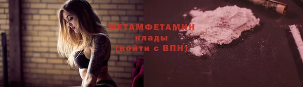 индика Нея