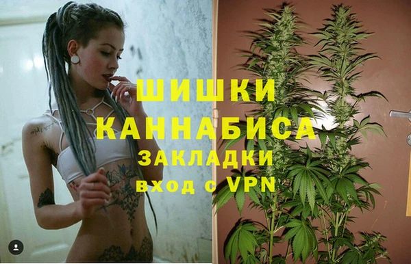 индика Нея