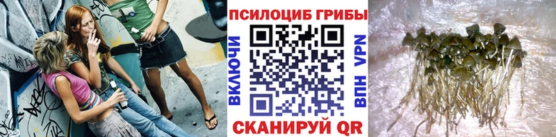 Галлюциногенные грибы Magic Shrooms Ярцево
