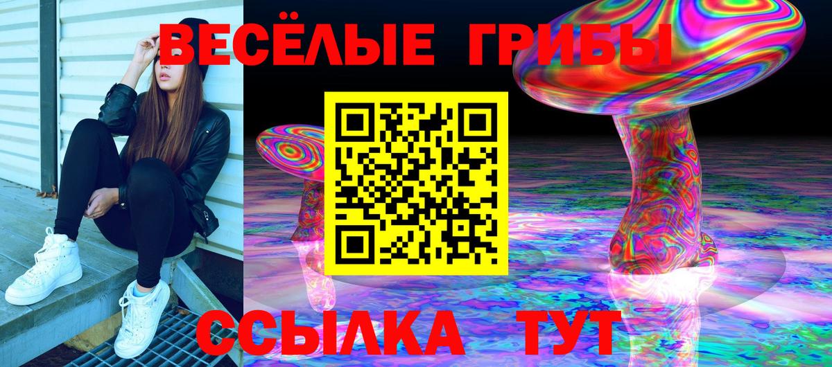 Галлюциногенные грибы мицелий  Псилоцибиновые грибы ЛСД  Ярцево  Вход с VPN 